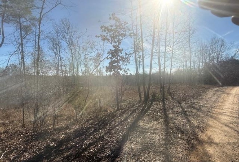 View of undeveloped land