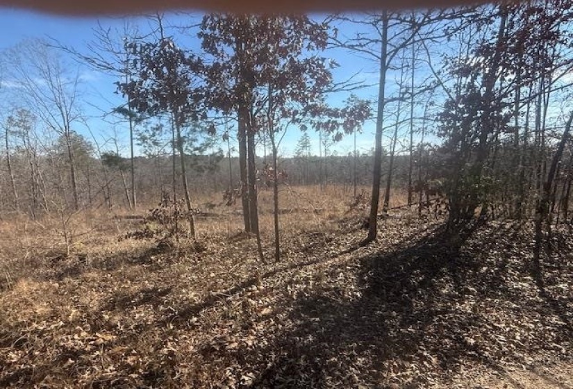 View of undeveloped land