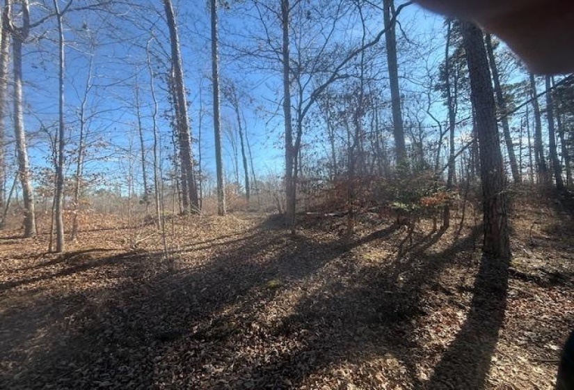 View of undeveloped land