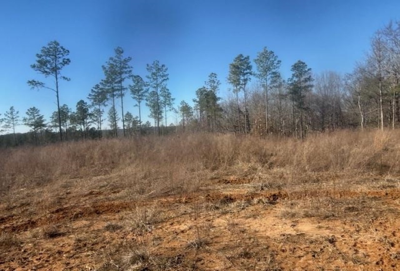 View of nature with rural landscape
