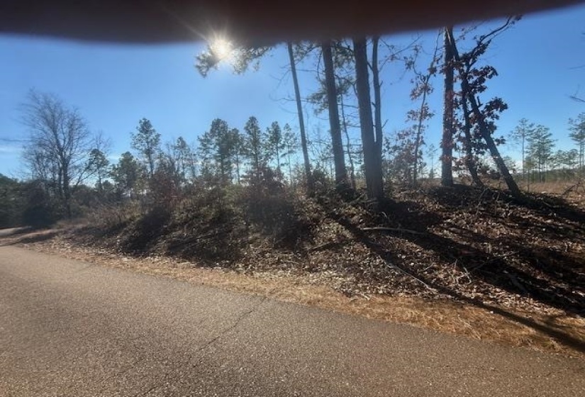 View of asphalt street
