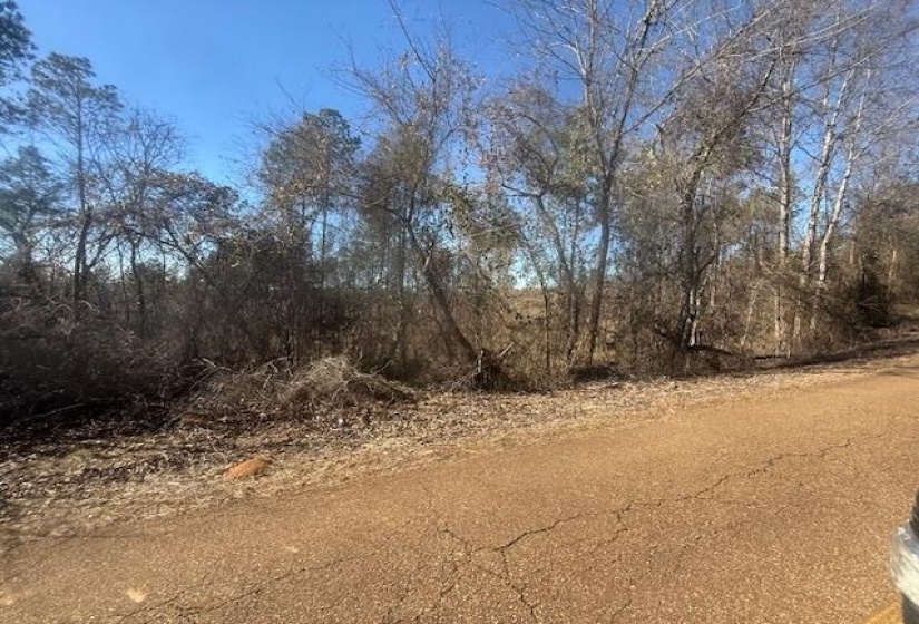 View of undeveloped land