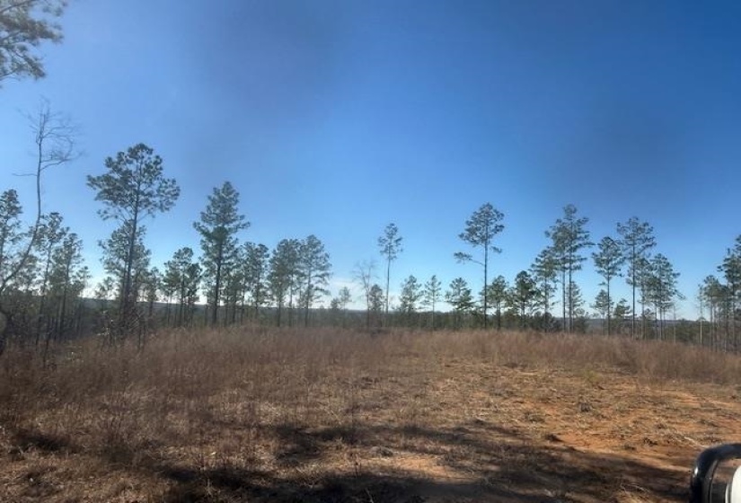 View of local wilderness featuring rural landscape