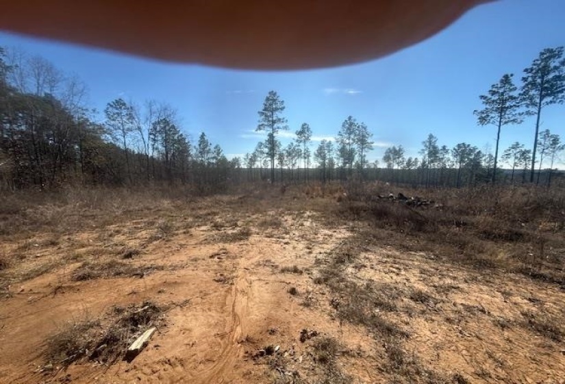 View of local wilderness with rural landscape