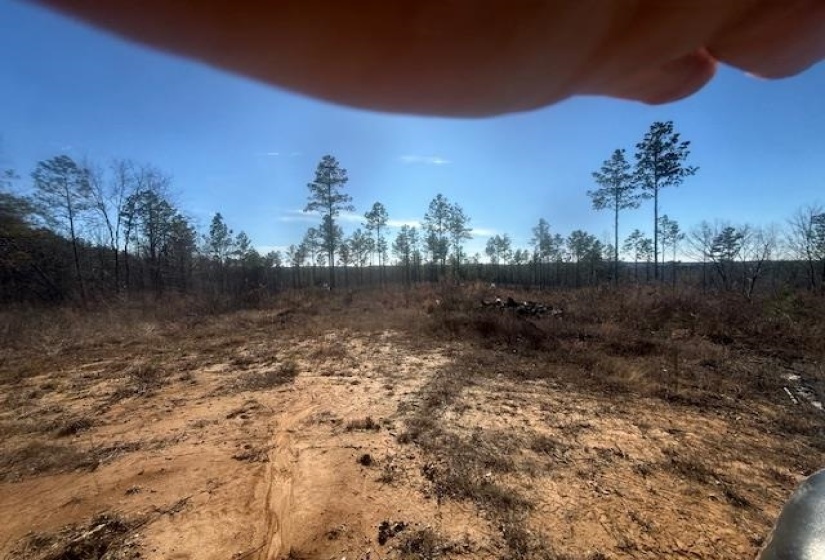 View of nature with rural landscape