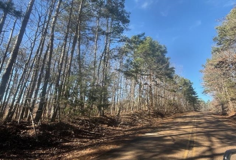 View of asphalt road