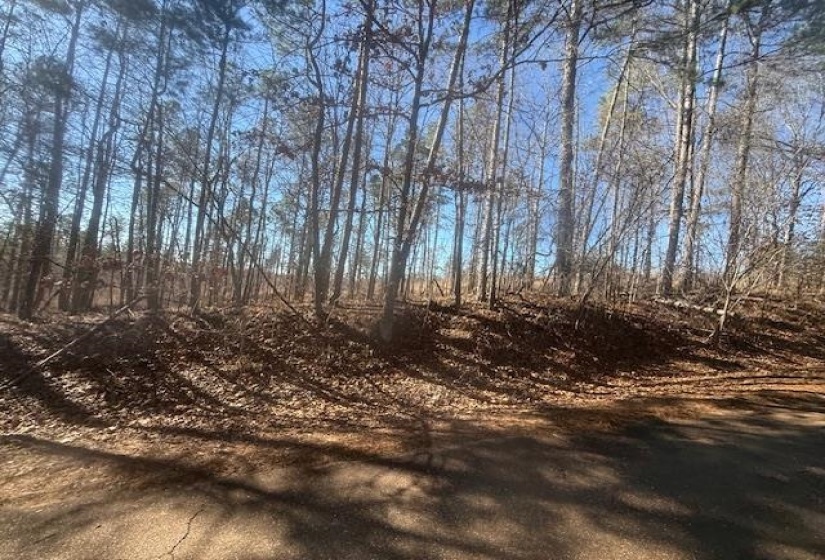 View of undeveloped land