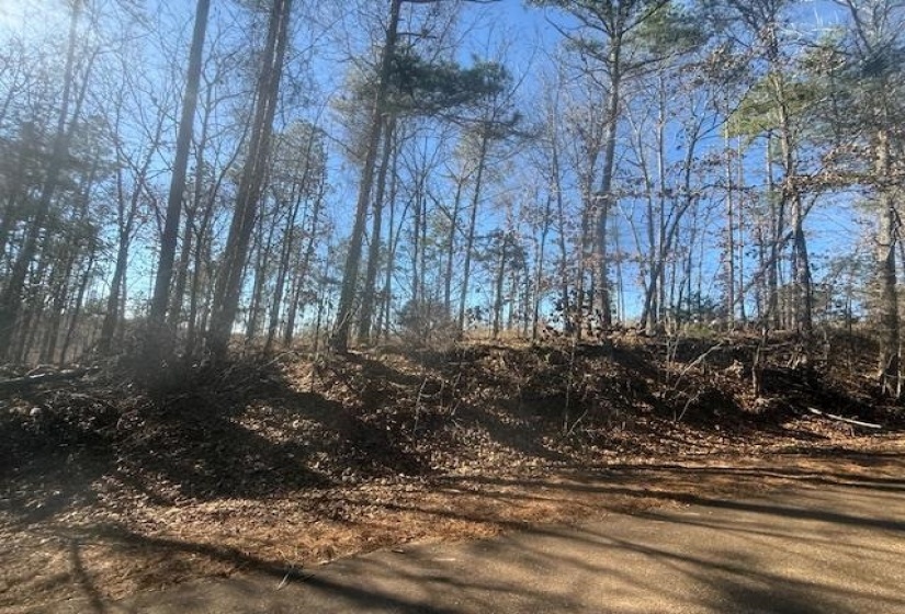 View of local wilderness