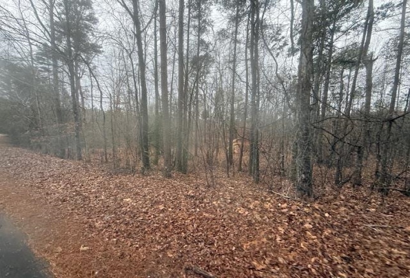 View of undeveloped land