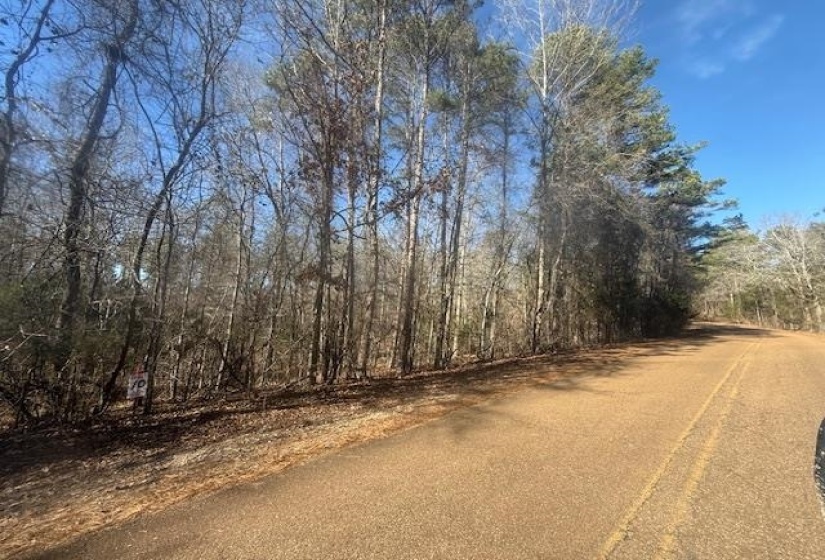 View of asphalt street