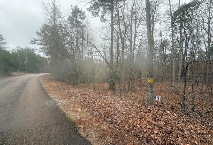 View of asphalt road