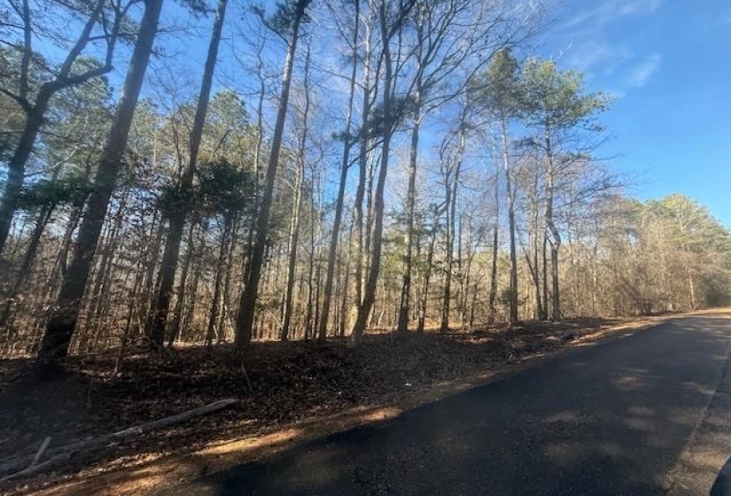 View of asphalt street