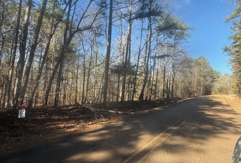 View of asphalt road