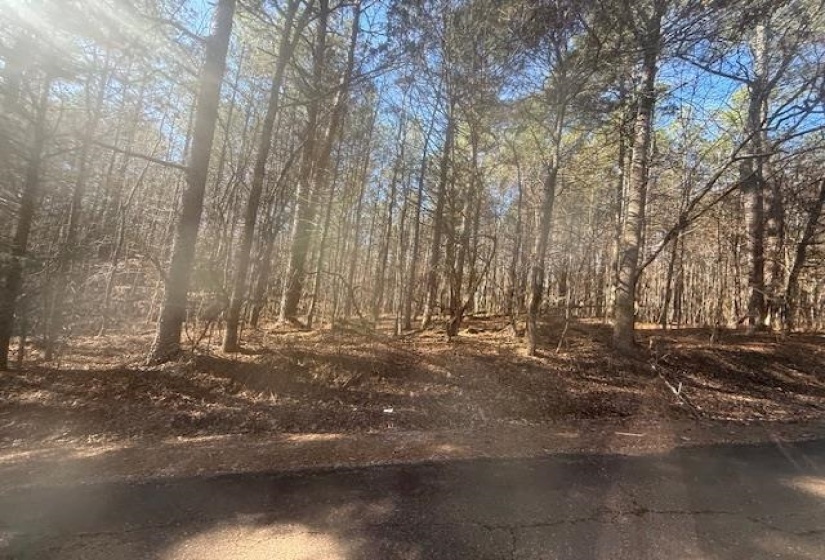 View of undeveloped land