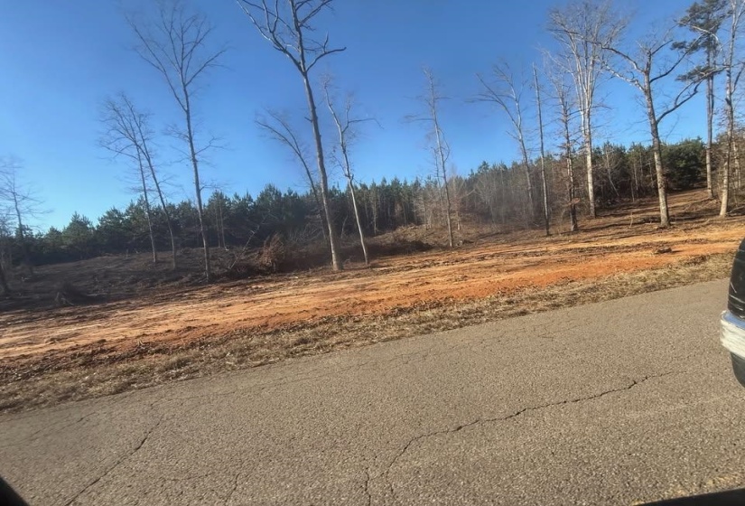 View of asphalt road