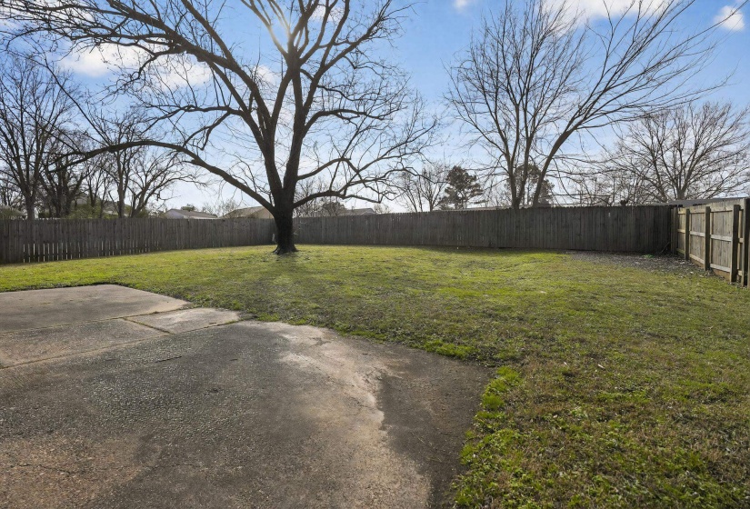 View of fenced backyard