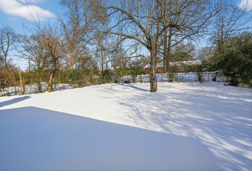 View of snowy yard