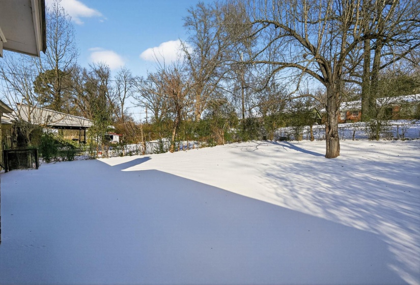 View of snowy yard