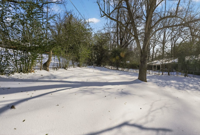 View of snowy yard