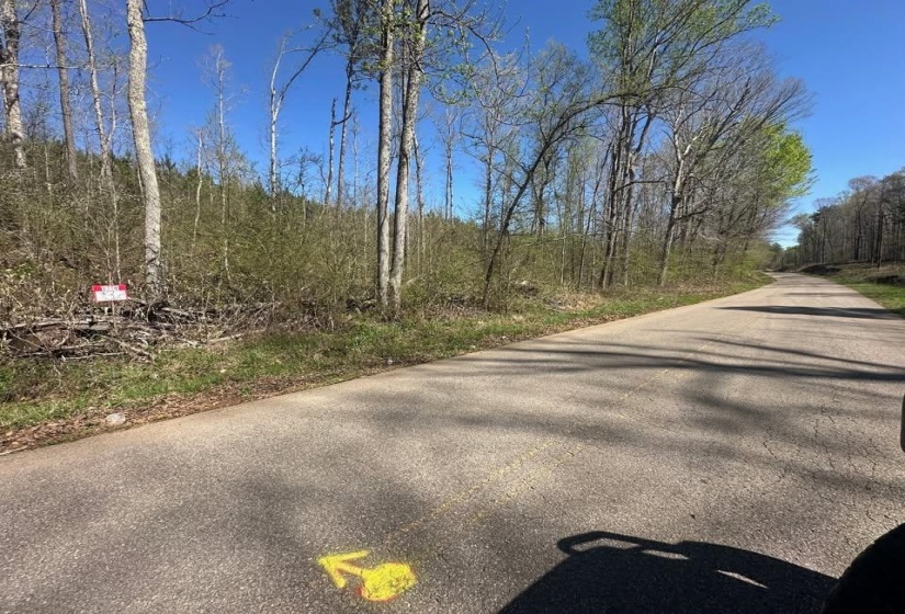 View of asphalt street