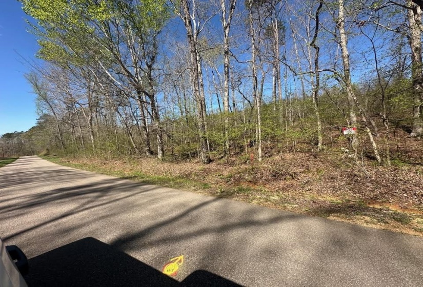 View of asphalt road