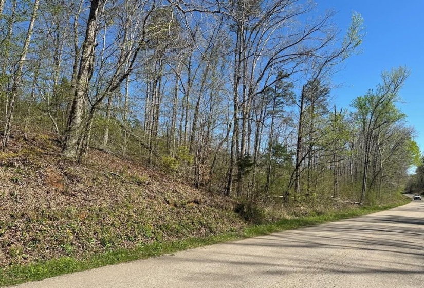 View of asphalt road