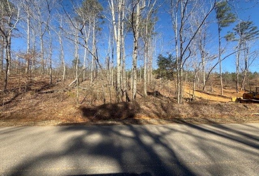 View of asphalt street