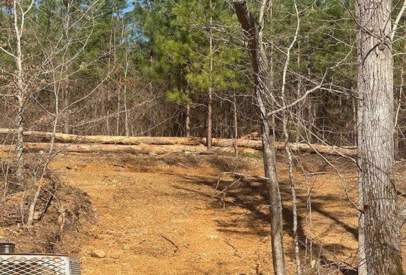 View of local wilderness