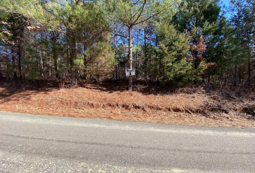 View of asphalt road with view of wooded area
