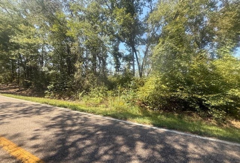 View of asphalt road