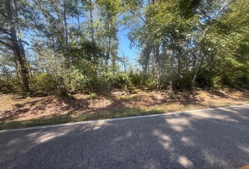 View of asphalt road