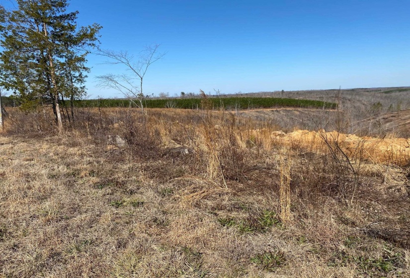 View of nature featuring rural landscape
