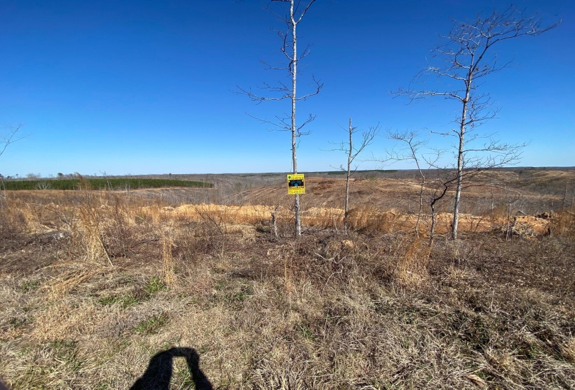 View of local wilderness featuring rural landscape