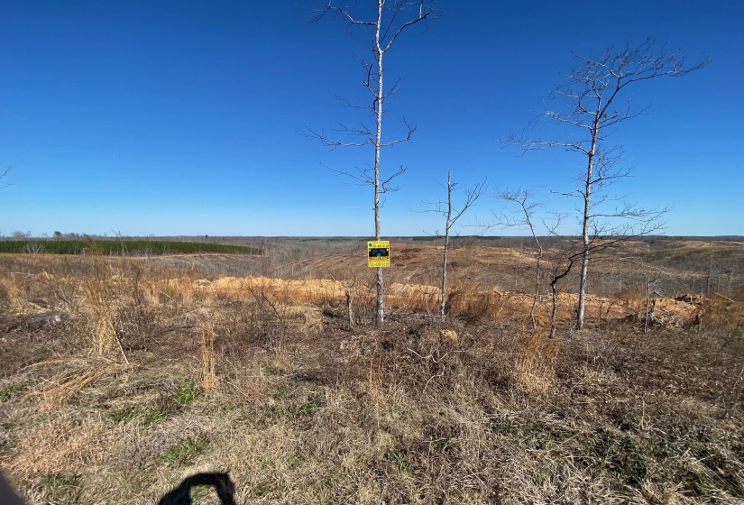 View of local wilderness with rural landscape