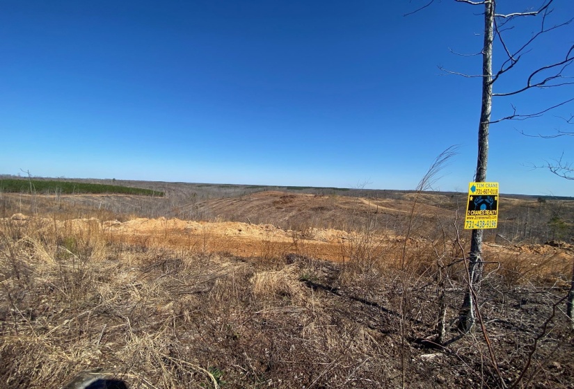 View of local wilderness with rural landscape