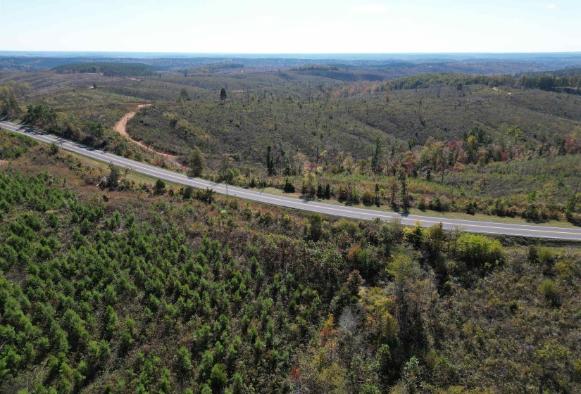 Bird's eye view of a forest