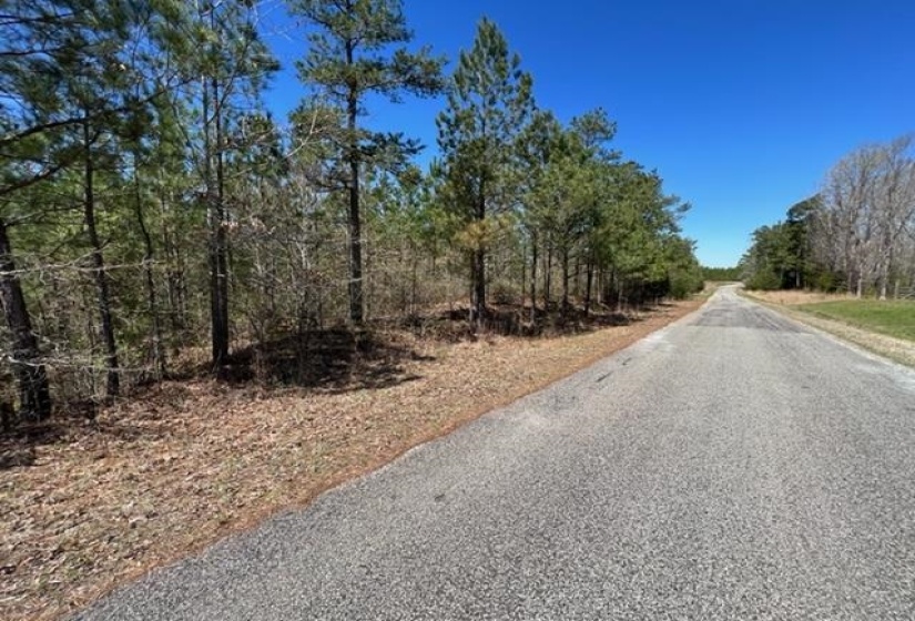 View of asphalt street