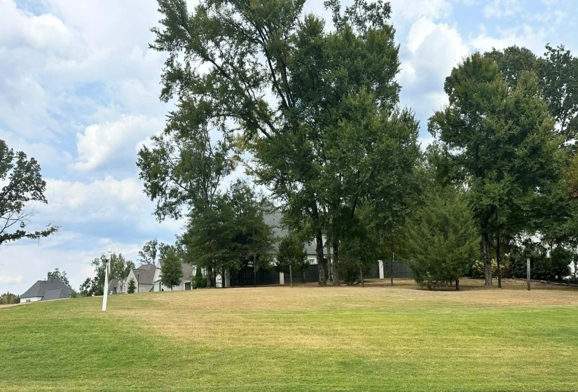 BRAVO RD, Collierville, Tennessee 38017, ,Land,For Sale,BRAVO,10213805