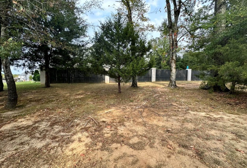 BRAVO RD, Collierville, Tennessee 38017, ,Land,For Sale,BRAVO,10213805