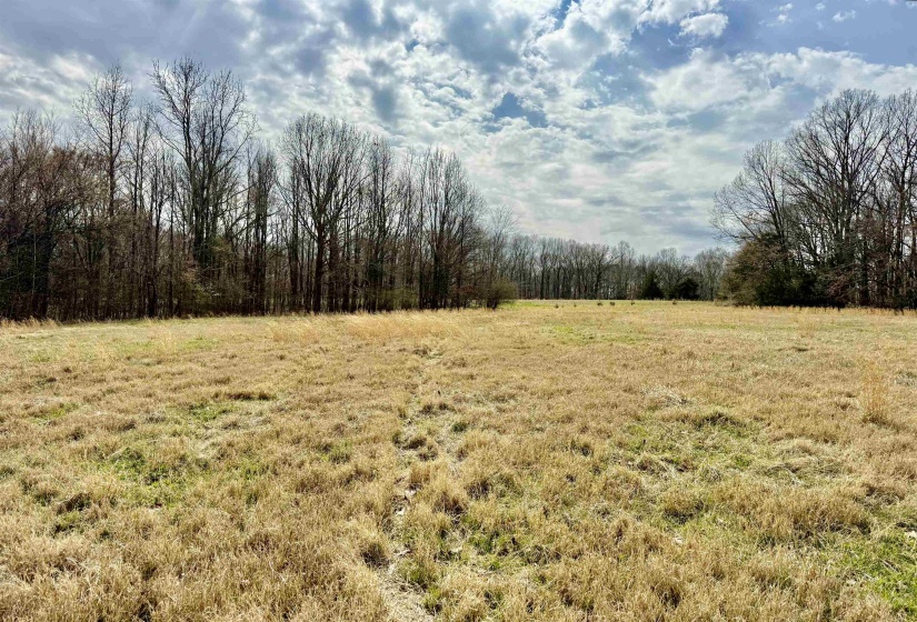 0 OLD BROWNSVILLE RD, Somerville, Tennessee 38068, ,Land,For Sale,OLD BROWNSVILLE,10213807