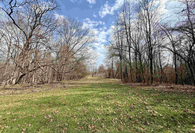 0 OLD BROWNSVILLE RD, Somerville, Tennessee 38068, ,Land,For Sale,OLD BROWNSVILLE,10213807