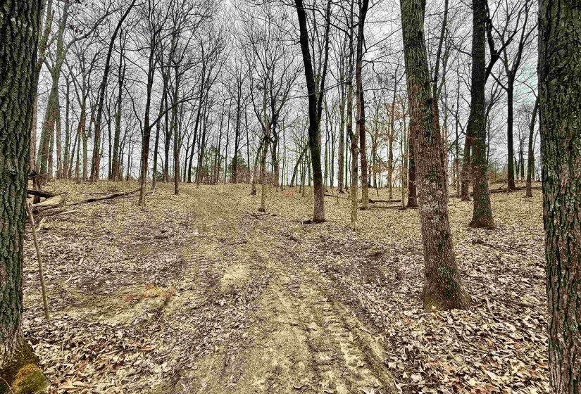0 OLD BROWNSVILLE RD, Somerville, Tennessee 38068, ,Land,For Sale,OLD BROWNSVILLE,10213807