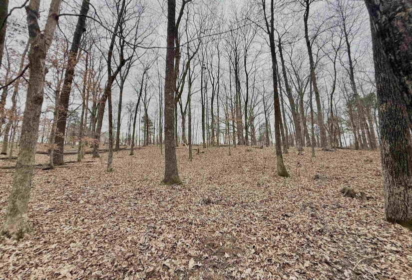 0 OLD BROWNSVILLE RD, Somerville, Tennessee 38068, ,Land,For Sale,OLD BROWNSVILLE,10213807