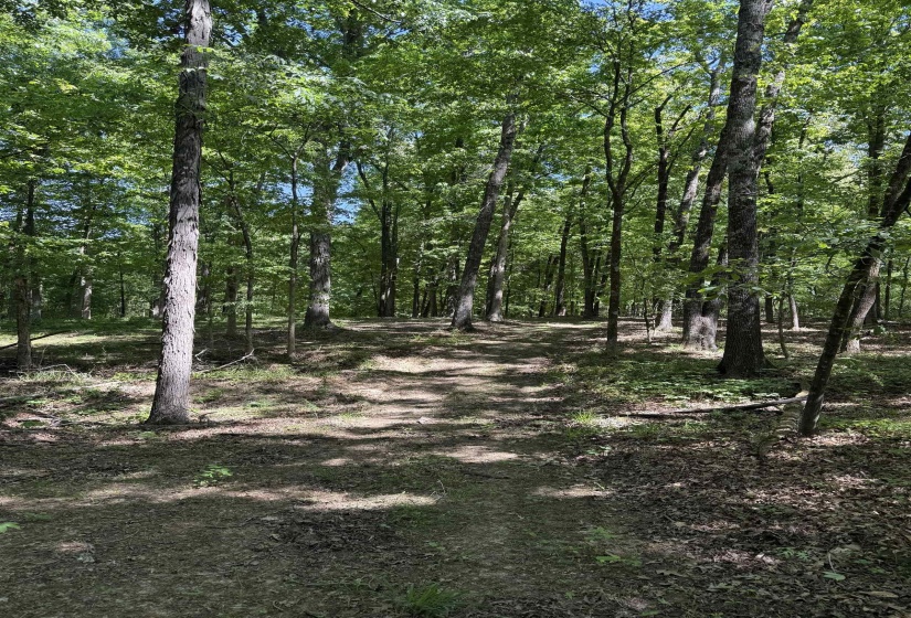 0 OLD BROWNSVILLE RD, Somerville, Tennessee 38068, ,Land,For Sale,OLD BROWNSVILLE,10213807