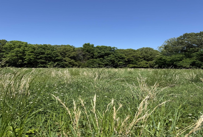 0 OLD BROWNSVILLE RD, Somerville, Tennessee 38068, ,Land,For Sale,OLD BROWNSVILLE,10213807