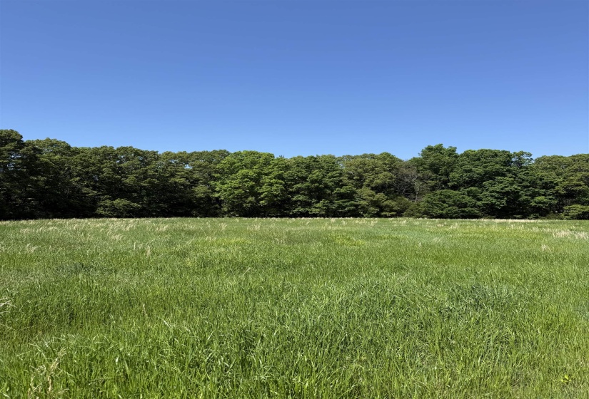0 OLD BROWNSVILLE RD, Somerville, Tennessee 38068, ,Land,For Sale,OLD BROWNSVILLE,10213807