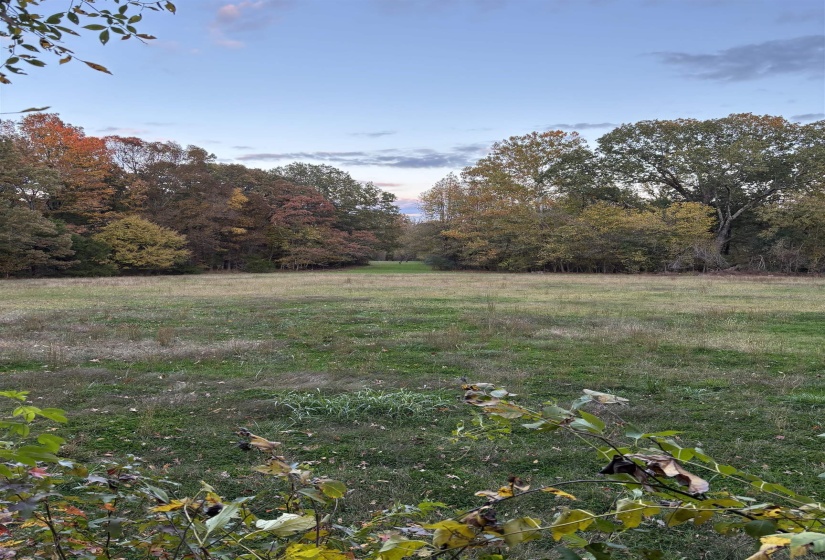 0 OLD BROWNSVILLE RD, Somerville, Tennessee 38068, ,Land,For Sale,OLD BROWNSVILLE,10213807