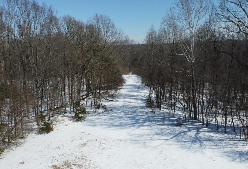 0 OLD BROWNSVILLE RD, Somerville, Tennessee 38068, ,Land,For Sale,OLD BROWNSVILLE,10213807