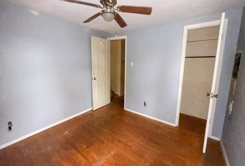 Room with wood-finish flooring, light blue walls, and a ceiling fan with integrated lighting
