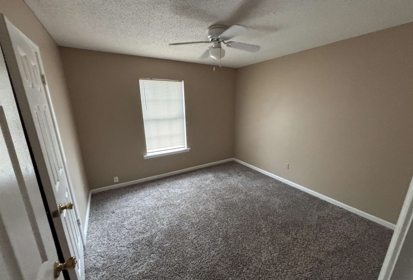 Empty room featuring carpet flooring, a textured ceiling, and a ceiling fan
